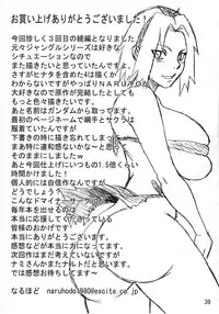 (C86) [Naruho-dou (Naruhodo)] G3 (Naruto) [English] {doujin-moe.us}