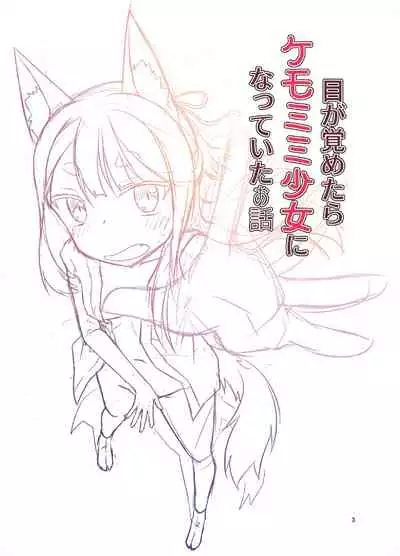 Me Ga Sametara kemomimishoujo ni natteita ohanashi