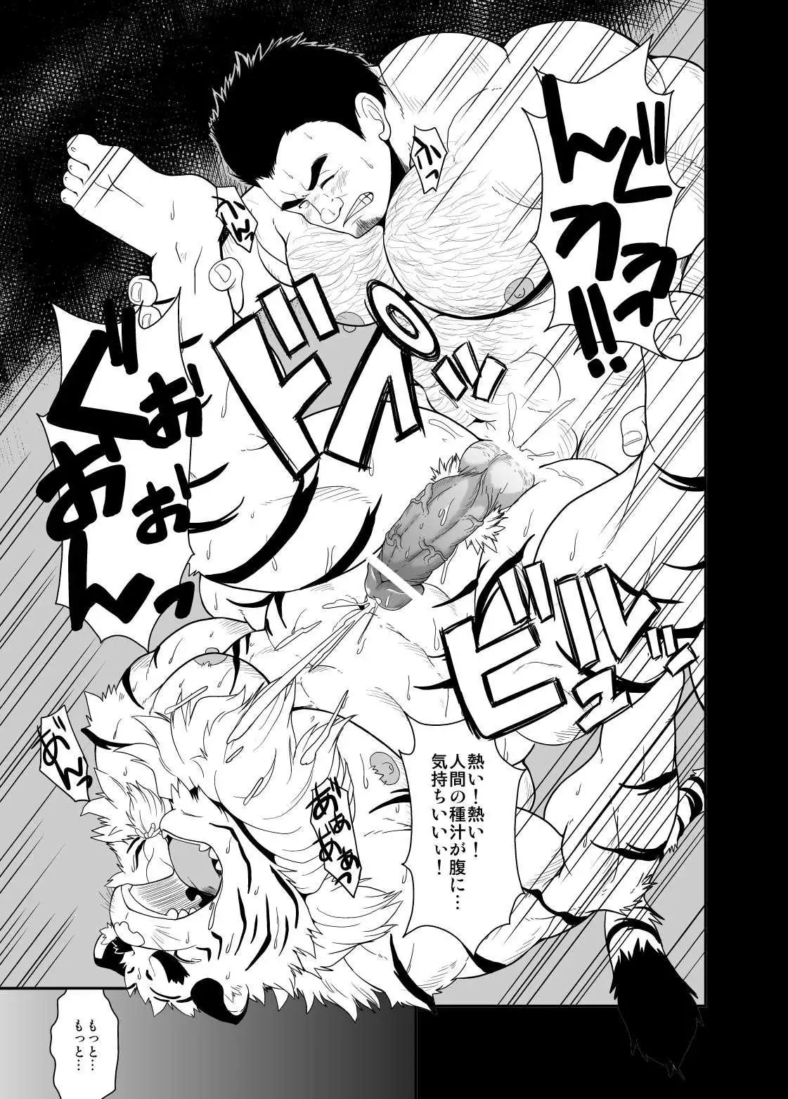 Toradorei -KEMONO Company 2-