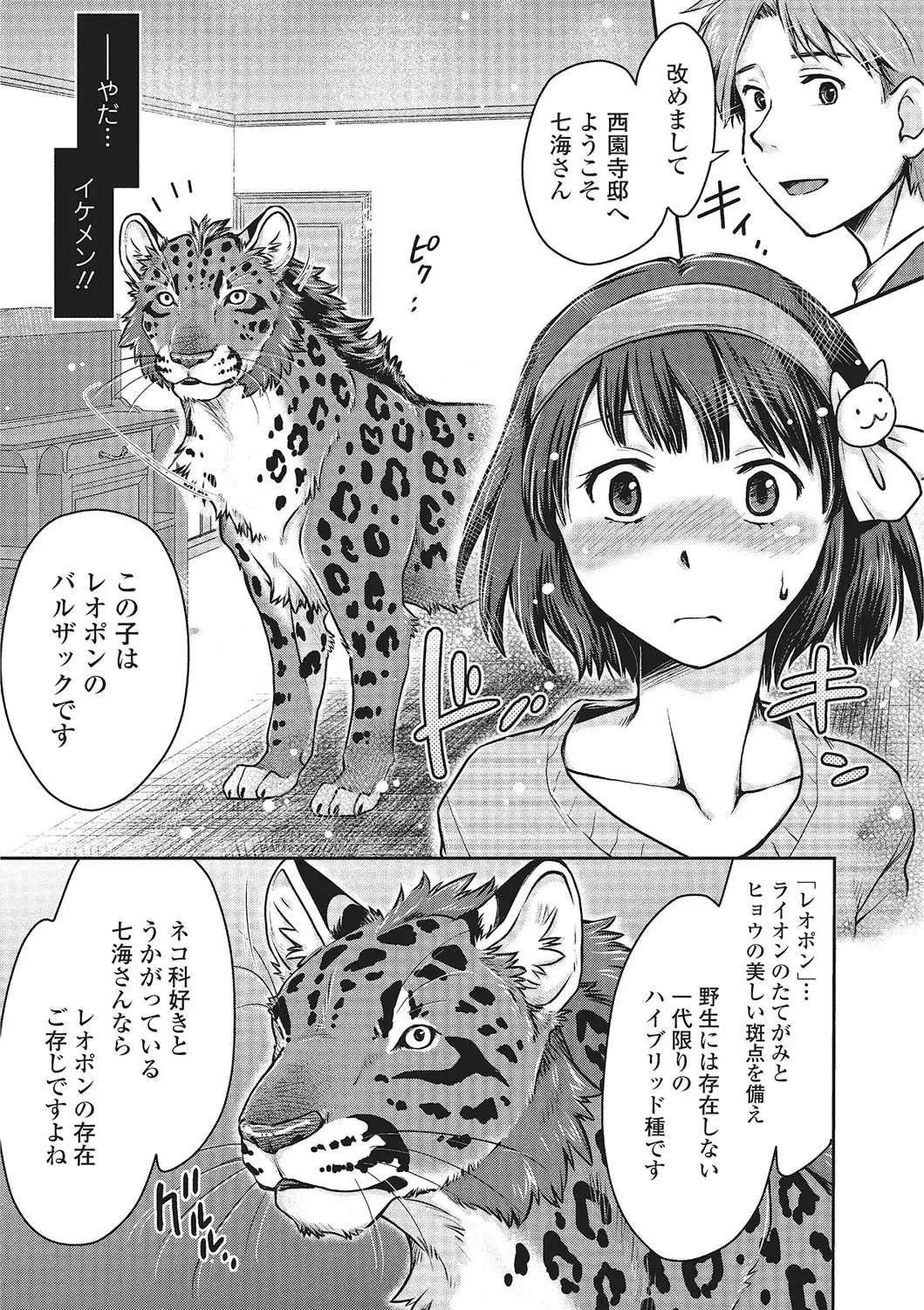Kemono DIRECT 2