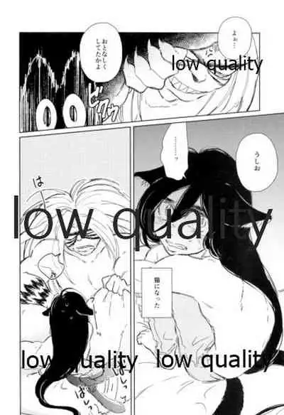 Kawaii Kawaii,