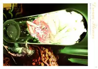 [Nishieda] Dendrobium (Decensored)