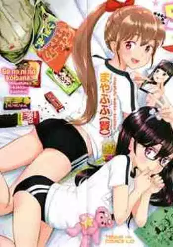 Koibana Hs