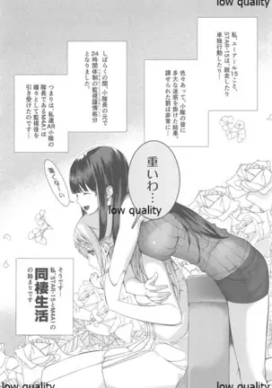 STAR15&M4A1