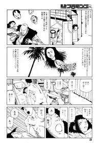 Flamingo R Vol.04