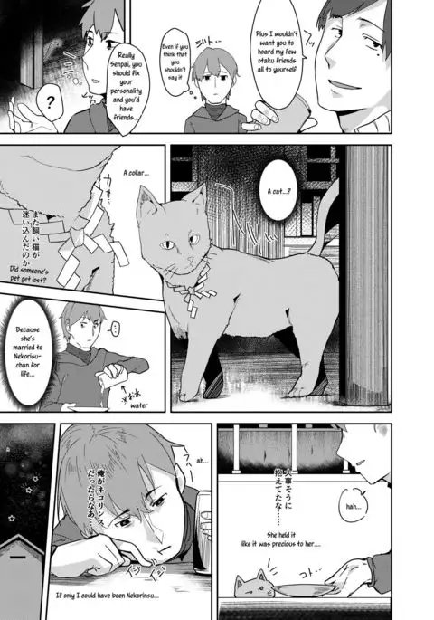 Cut Cat ~TSF~