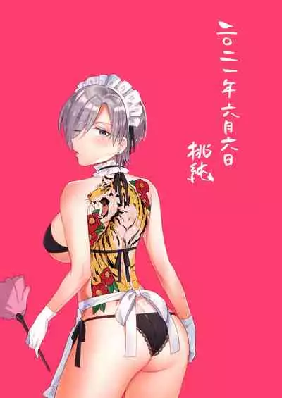TSF Yariman Gokudou-chan