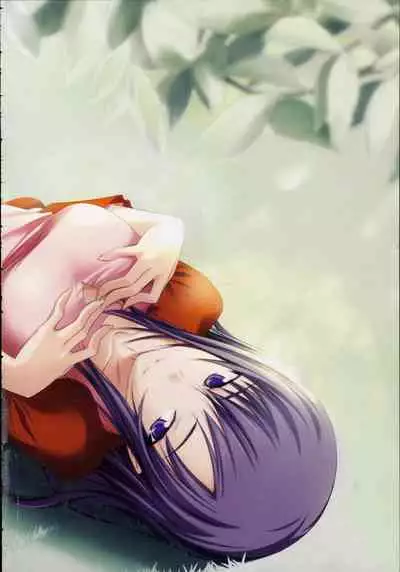 Shin Ringetsu Visual Fanbook