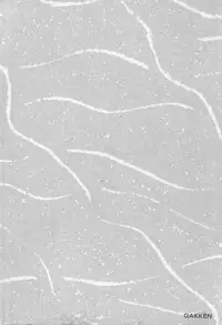 [Urushihara Satoshi] Chirality - To The Promised Land Vol.1 (Complete) [English]