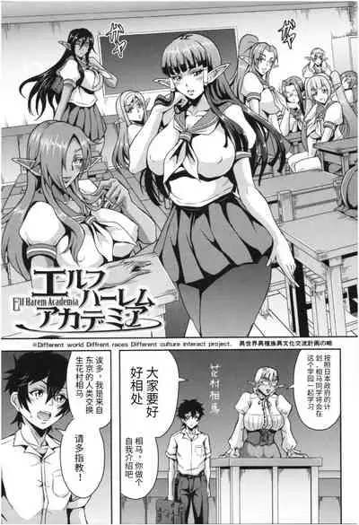 Elf Harem Academia