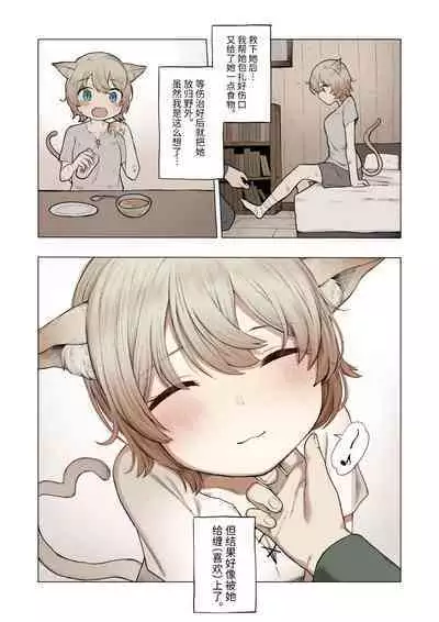 捡到了小猫