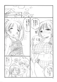 (C76) [TENKAICHI BABY'S (Inomoto Rikako, BENNY'S)] Tsurukko