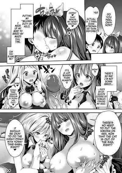 Harem Maid no Damedame Ecchi | Kinky Sex with My Maid Harem