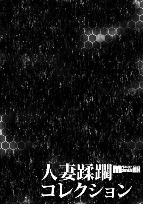 Cyberia Maniacs Hitozuma Juurin Collection Vol.3