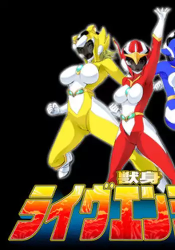 D+COLLECTION