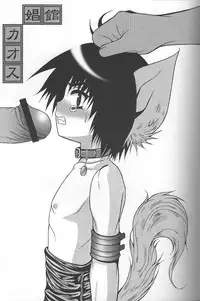 [Poiyo Dimension (Meguro Linu)] Shoukan Kaosu