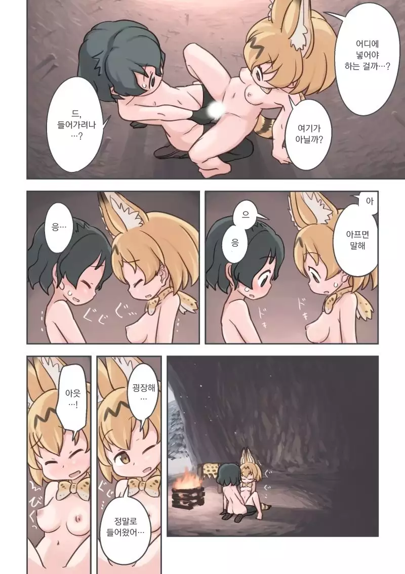 Takibi | 모닥불