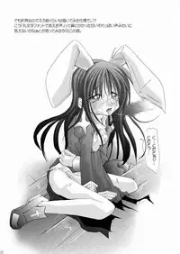 (C65) [Chocolate Banana ou Lait (Maccha Chamomo)] Damasareyasui Usagi-tachi. (Ragnarok Online)