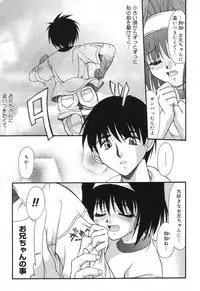 [Anthology] Pure Petit Vol. 12