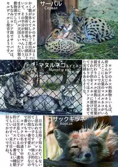 may Kemono Friends Thre Goudoushi 2