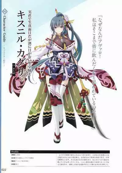 Amayui Labyrinth Meister Perfect Guidebook