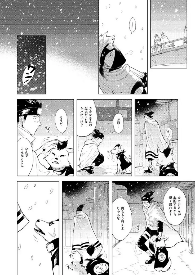 Konoha Kinboshi Doori no Shoukei