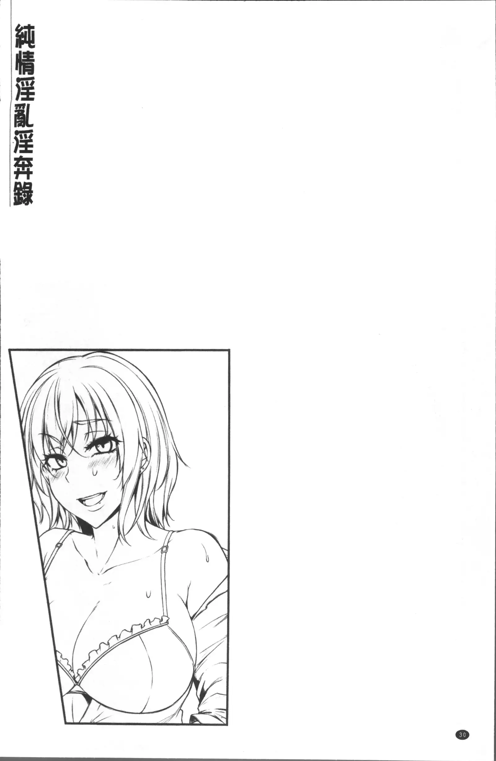 Junjou Try Inpouroku