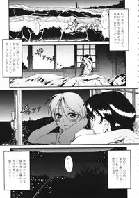 [Eromangaman] Kuwagata - The Stag Beetle