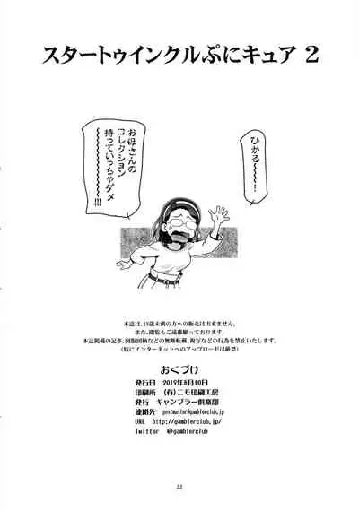 Star Twinkle PuniCure 2