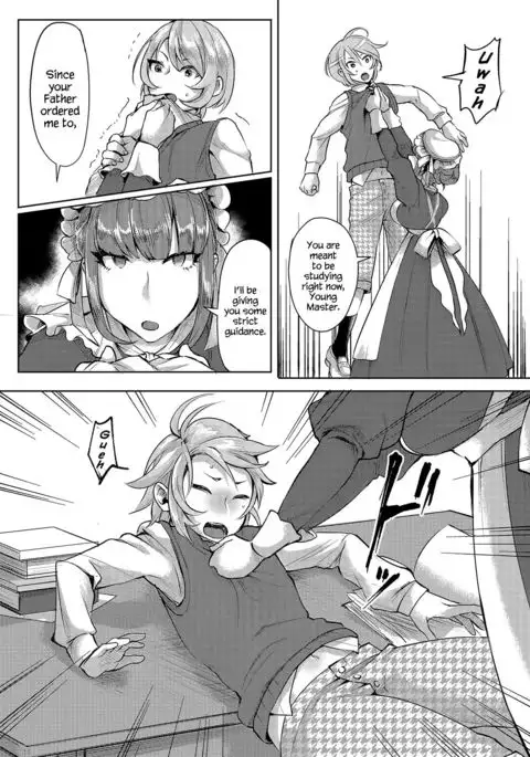 The Young Master’s Partner Maid