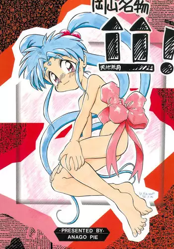 Tenchi Musou! In Shade