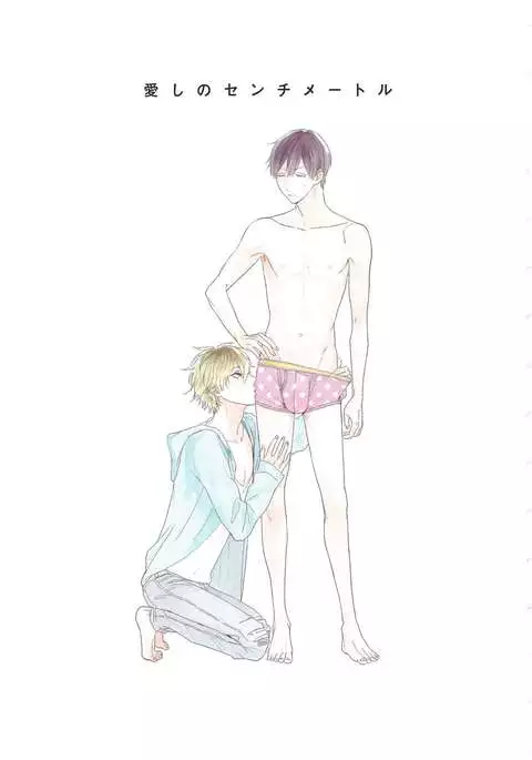 Itoshi no Centimeter