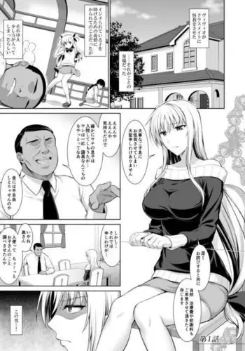 雌神楽 -フェイト編 全集