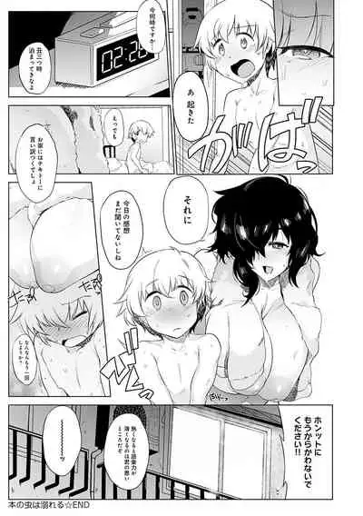 メス肉密着日和