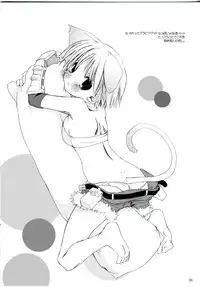 (CR37) [Digital Lover (Yuka Nakajima)] Rough Sketch 24 (Ragnarok Online)