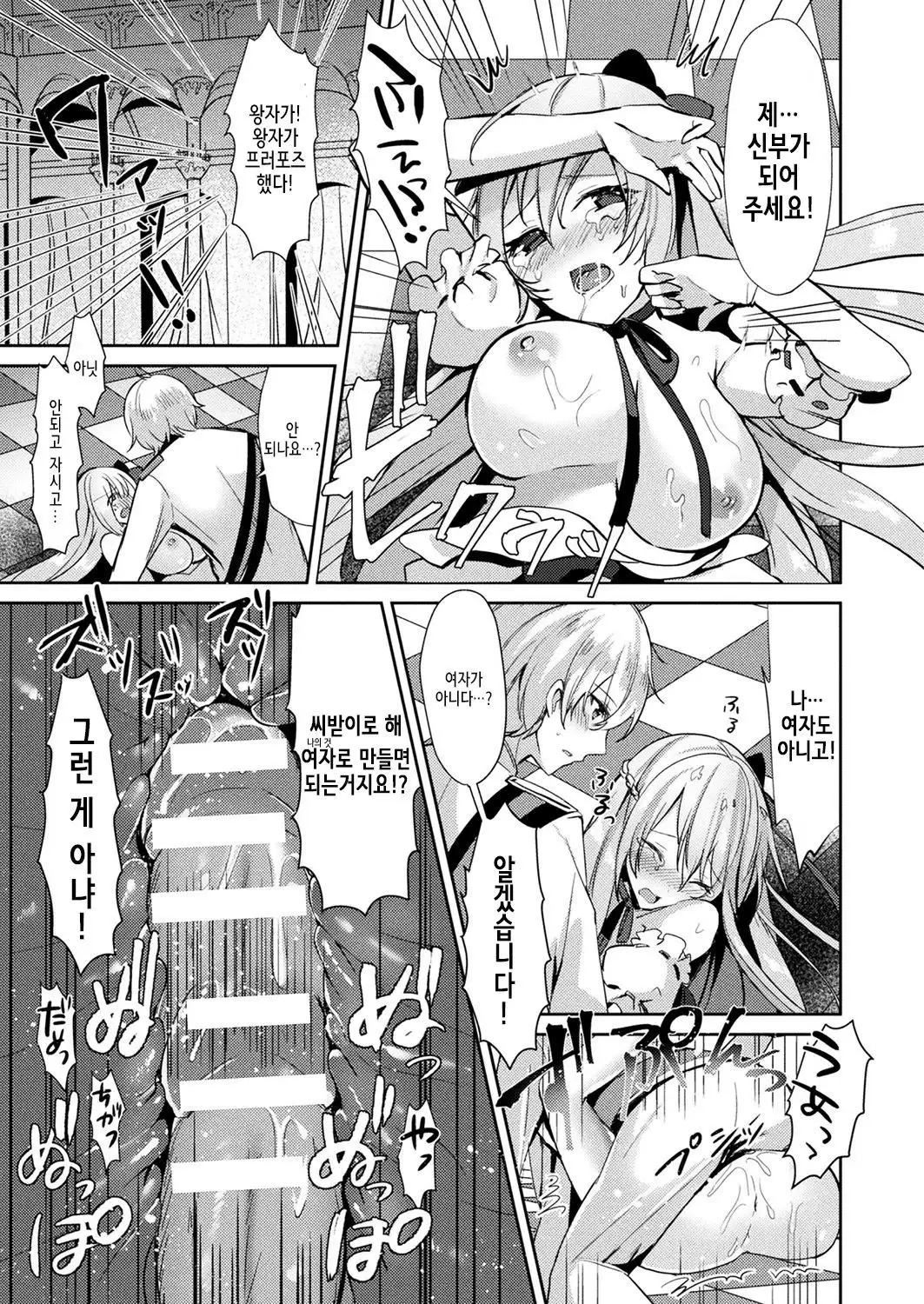 Cinderella Complex | 신데렐라 콤플렉스