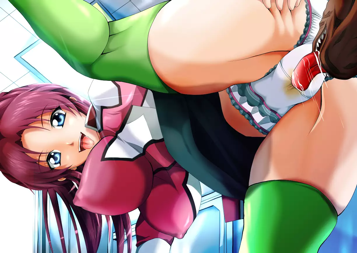 GUNDAM SEED CG SET