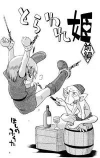 (C77) [Puchi-ya (Hoshino Fuuta)] Toraware Hime Zenpen