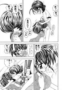 [Anthology] Pure Petit Vol. 16