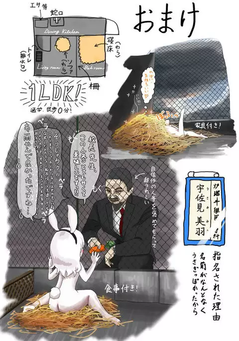 I Tried Becoming a Rabbit