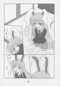 [Schwester (Shirau Inazaki)] Rollin 20 (Touhou Project)