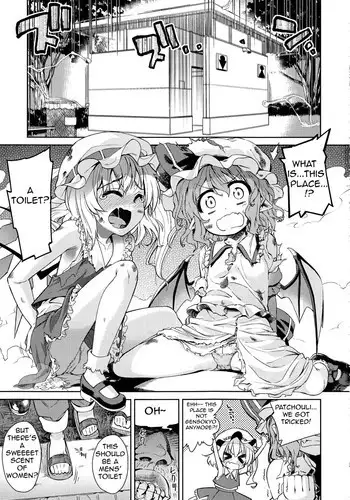 (Reitaisai 9) [Yumemigokoti, Youmusya (Mikage Baku, Gengorou)] Koushuu Benjo (Touhou Project) [English] [atomicpuppy]