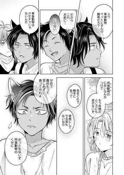 Kemono no Gochisou