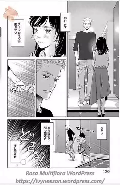 Subete Ai no Shiwaza/愛調教成性俘虜/爱调教成性俘虏/すべて愛のしわざ——もんでんあきこ vol 1-3End