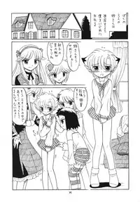 (C70) [Momo no Tsubomi (Various)] EruEru 25 (Various)