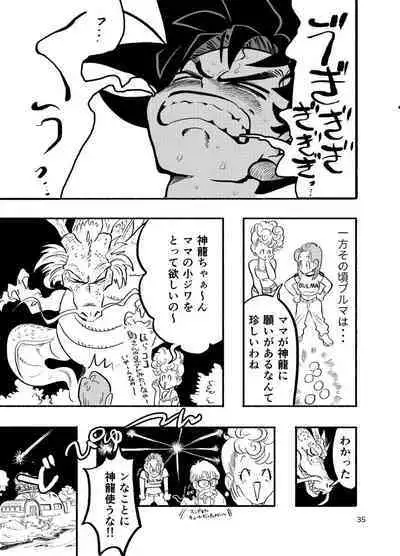 Dragon Ball Fanbook GokuxChihci