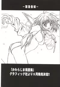 (C62)[Henrei-kai (Kawarajima Koh)] Mahou Ame 3