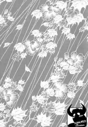フクシアの花びら