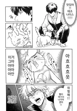 Godfinger Hijikata and magic kiss