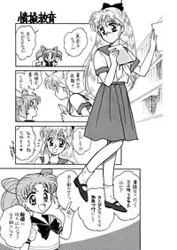 Sailor Moon JodanJanaiyo